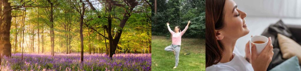 a beautiful lavender woods with sunlight shining through the trees. I picture of Mel holding a yoga tree pose outside on the grass with trees behind and a lady enjoying the moment of a cup of tea with eyes closed.